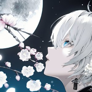 日本一道高清一区二区
